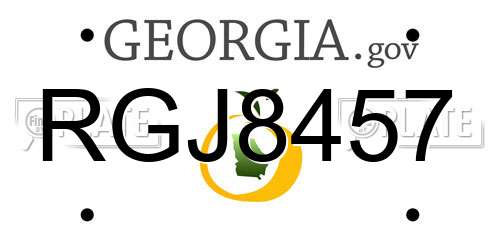 RGJ8457 Georgia License Plate