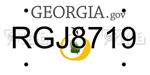 RGJ8719 Georgia License Plate