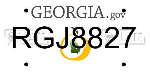 RGJ8827 Georgia License Plate