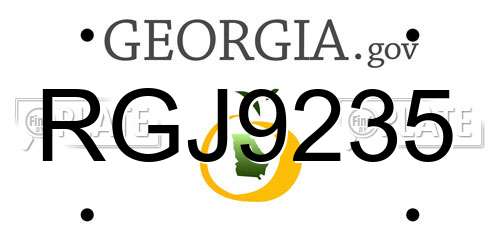RGJ9235 Georgia License Plate