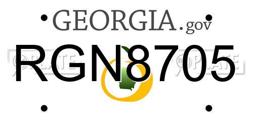 RGN8705 Georgia License Plate