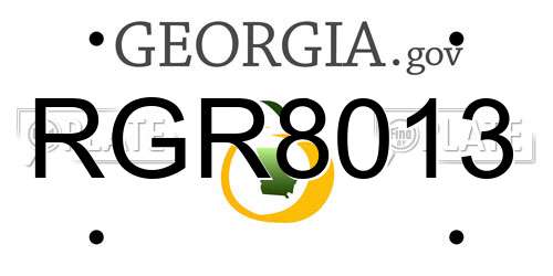 RGR8013 Georgia License Plate