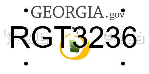 RGT3236 Georgia License Plate