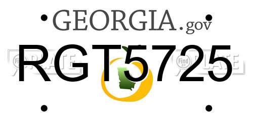 RGT5725 Georgia License Plate