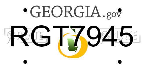 RGT7945 Georgia License Plate