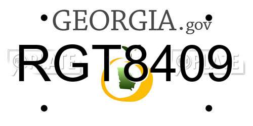 RGT8409 Georgia License Plate
