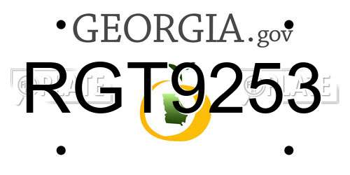 RGT9253 Georgia License Plate