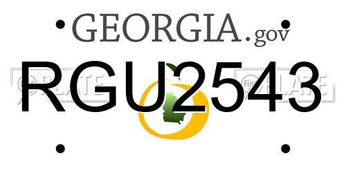 RGU2543 Georgia License Plate