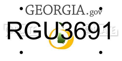 RGU3691 Georgia License Plate