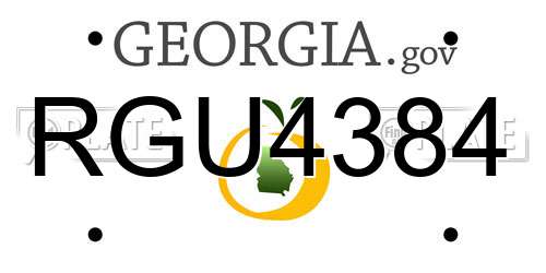 RGU4384 Georgia License Plate