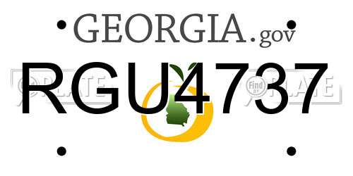 RGU4737 Georgia License Plate