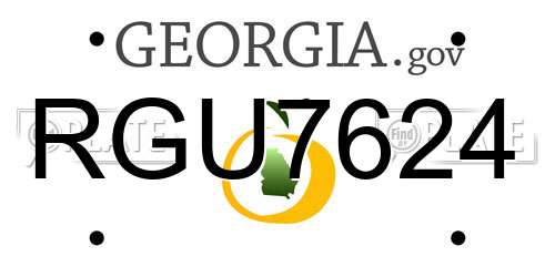 RGU7624 Georgia License Plate