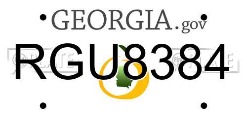 RGU8384 Georgia License Plate