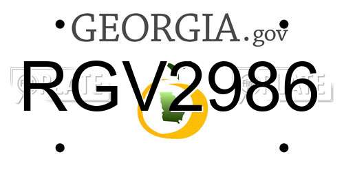 RGV2986 Georgia License Plate