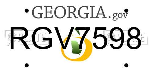 RGV7598 Georgia License Plate