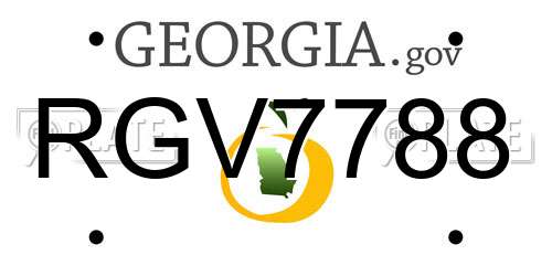 RGV7788 Georgia License Plate
