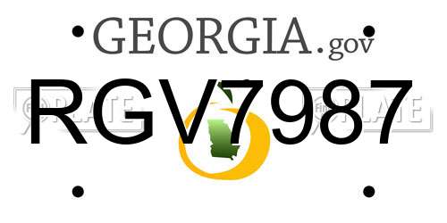RGV7987 Georgia License Plate