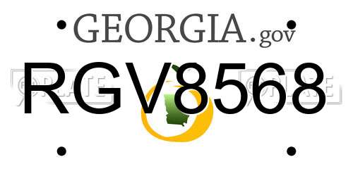 RGV8568 Georgia License Plate