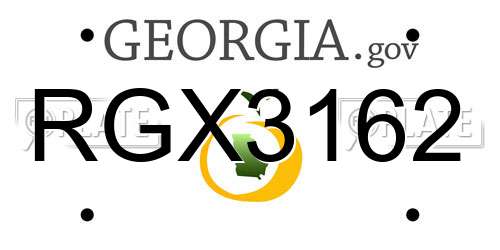 RGX3162 Georgia License Plate
