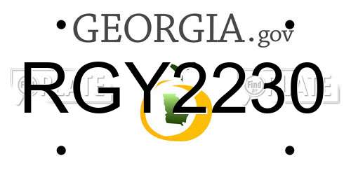 RGY2230 Georgia License Plate