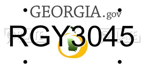 RGY3045 Georgia License Plate