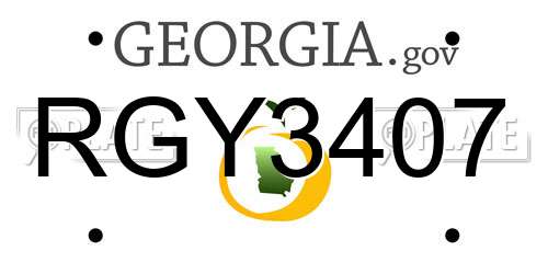 RGY3407 Georgia License Plate
