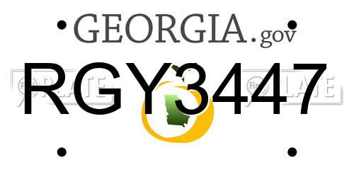RGY3447 Georgia License Plate