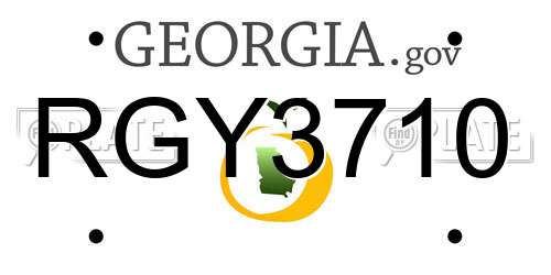 RGY3710 Georgia License Plate