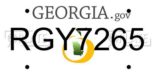 RGY7265 Georgia License Plate