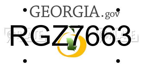 RGZ7663 Georgia License Plate