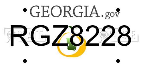RGZ8228 Georgia License Plate