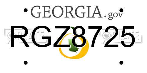 RGZ8725 Georgia License Plate