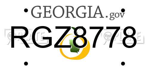 RGZ8778 Georgia License Plate