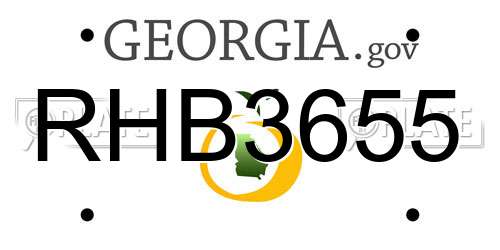 RHB3655 Georgia License Plate