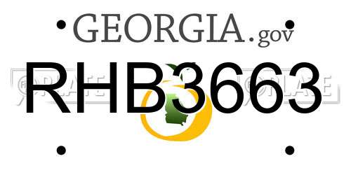 RHB3663 Georgia License Plate