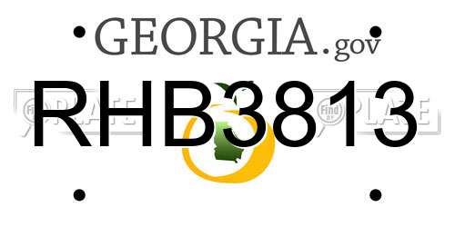 RHB3813 Georgia License Plate