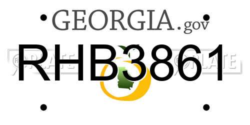RHB3861 Georgia License Plate