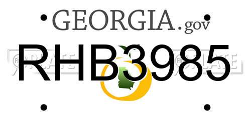 RHB3985 Georgia License Plate