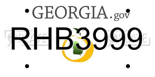 RHB3999 Georgia License Plate
