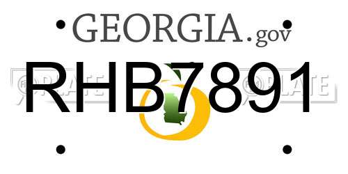 RHB7891 Georgia License Plate