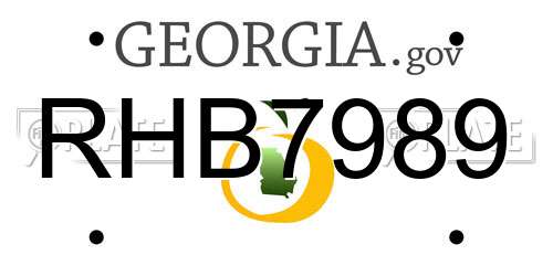 RHB7989 Georgia License Plate