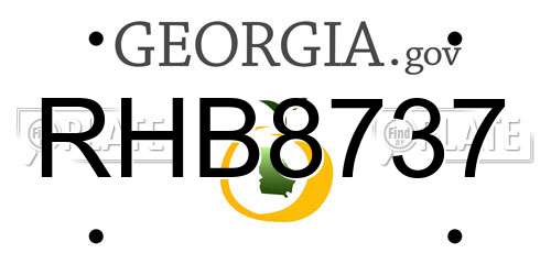 RHB8737 Georgia License Plate