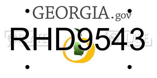 RHD9543 Georgia License Plate