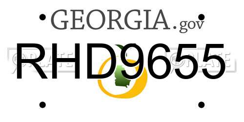 RHD9655 Georgia License Plate