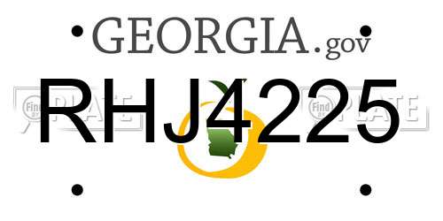 RHJ4225 Georgia License Plate