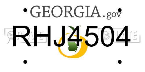 RHJ4504 Georgia License Plate