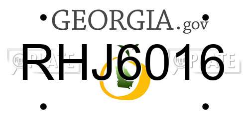 RHJ6016 Georgia License Plate