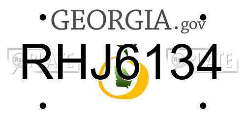 RHJ6134 Georgia License Plate