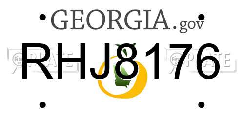 RHJ8176 Georgia License Plate