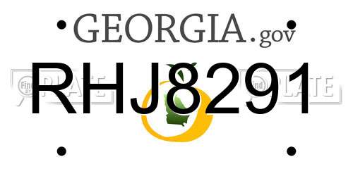 RHJ8291 Georgia License Plate